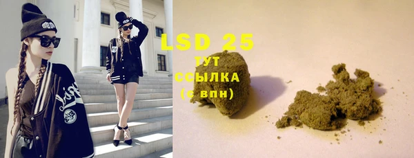 дживик Бородино