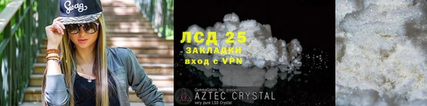 дживик Бородино