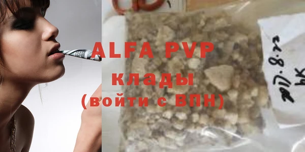 дживик Бородино