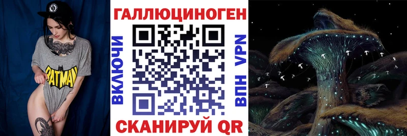 Псилоцибиновые грибы Psilocybine cubensis  купить наркотики цена  Вилючинск 